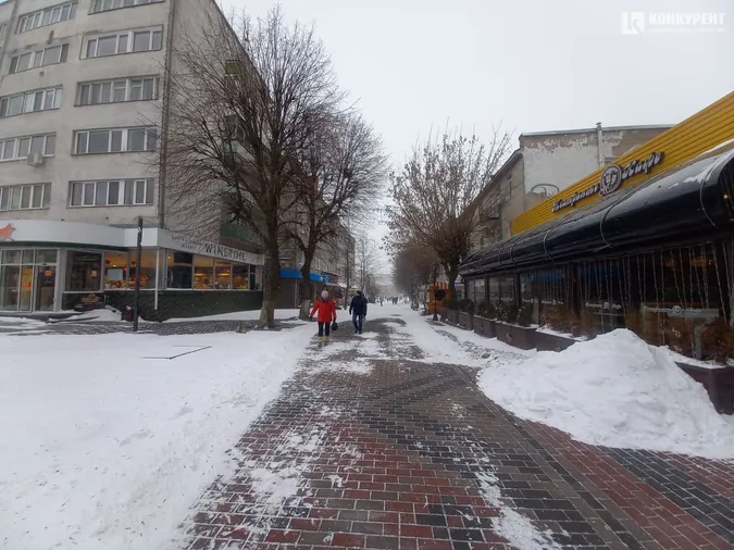 Люті зими повертаються: Луцьк замело снігом (фото)