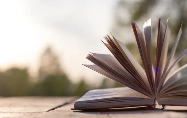 Оголосили фіналістів Книги року ВВС-2018