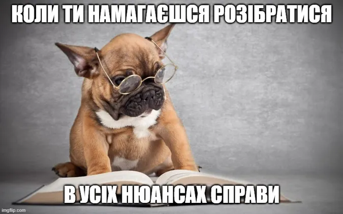 День юриста: історія свята і меми