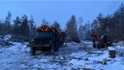 На Волині крадіїв лісу залишили без вантажівки та навантажувача (фото)