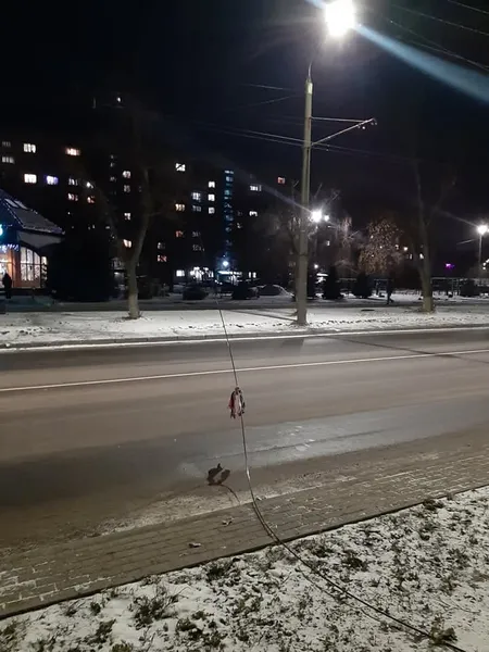 Тролейбуси стоять: у Луцьку на Молоді – обрив контактної мережі (фото)