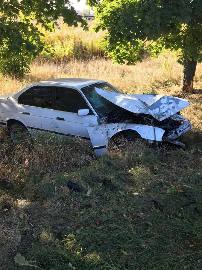 На Волині водій «BMW» влетів у дерево на узбіччі (фото)