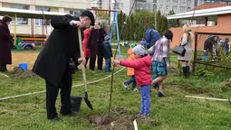 У луцькому дитсадку посадили дерева (фото)