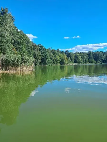 Особливо красиве озеро навесні та восени, коли навколишній ліс відображається у спокійній водній гладі