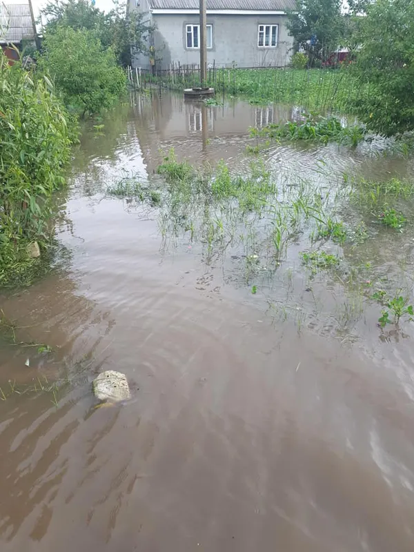 На Волині дощі залили три райони: рятувальники відкачують воду (фото)