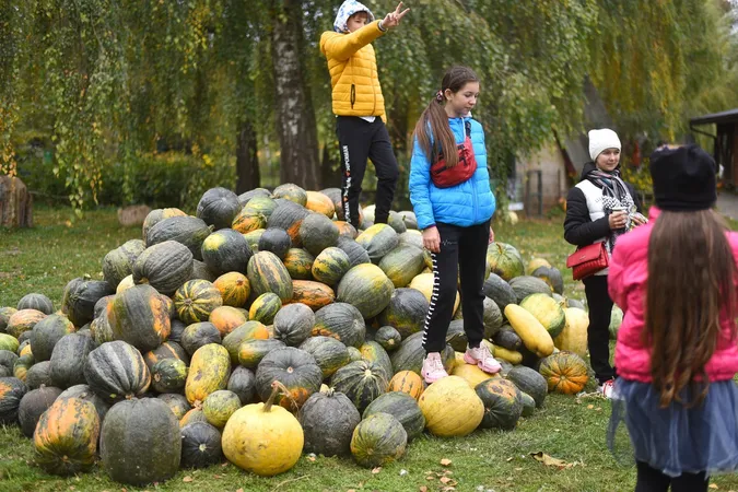 І для відвідувачів, і для тварин: у «Луцькому зоопарку» – «гарбузове» свято (фото)
