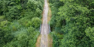На Волині заховався унікальний куточок дикої природи, де мешкають бобри та видри (фото)
