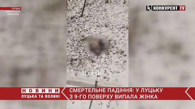 Жінка, яка в Луцьку випала з 9-го поверху, померла в лікарні (оновлено)