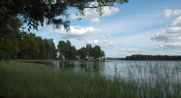 За 150 км від Луцька причаїлось незаймане озеро Шині з прозорою водою та всілякою рибою (фото)