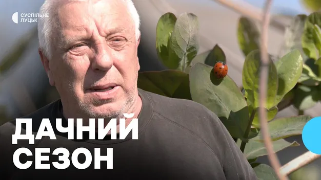 Стартував дачний сезон: як лучани вже копають городи і садять перші овочі (відео)