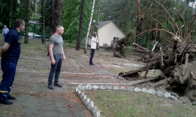 Власникам закладів на Світязі, де вирував буревій, порадили знести аварійні дерева (фото)