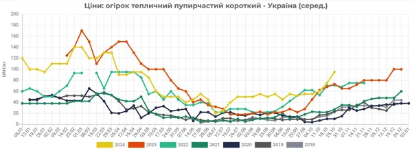 Ціни на огірки в Україні зростають третій тиждень поспіль