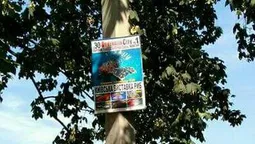 У Луцьку підприємця оштрафують за рекламу на стовпах (фото)