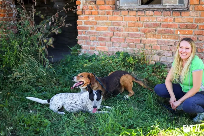 Із прифронтових територій та безпритульні: як живуть пухнастики у центрі «Дейл» біля Луцька (фото)