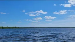 Після сезону відпочинку в Шацьких озерах перевірили якість води: що у ній знайшли (фото)