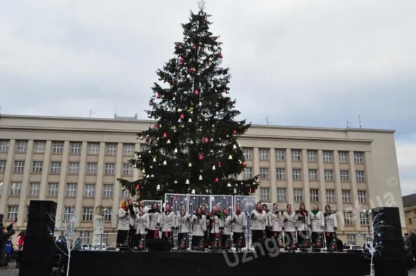 Ужгороду ялинку, як й у Львові, подарували