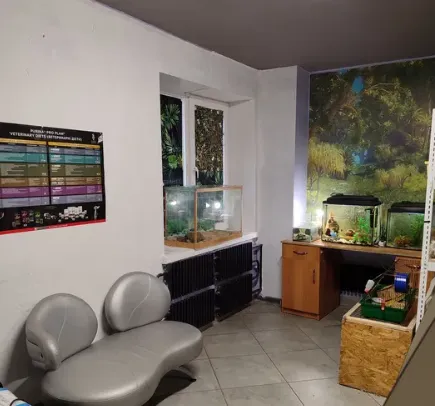 У Луцьку за пів мільйона продають зоомагазин (фото)