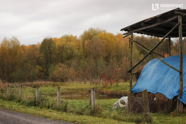 «Будемо пускати тут коріння»: як на Волині хазяйнують харків'яни, які все втратили (фото)