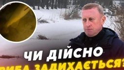 Чи можливий мор риби у луцькому парку: що виявив рибоохоронний патруль (відео)