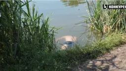 У водоймі у Луцькому районі втопився 26-річний чоловік (відео)