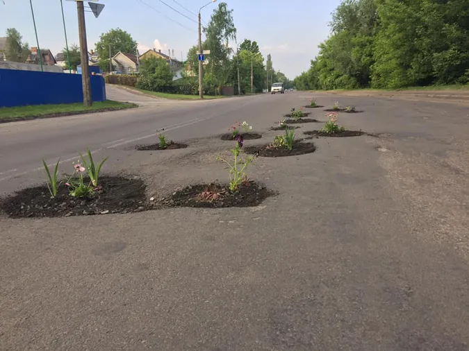 У Луцьку на двох вулицях у вибоїнах посадили квіти (фото, оновлено)