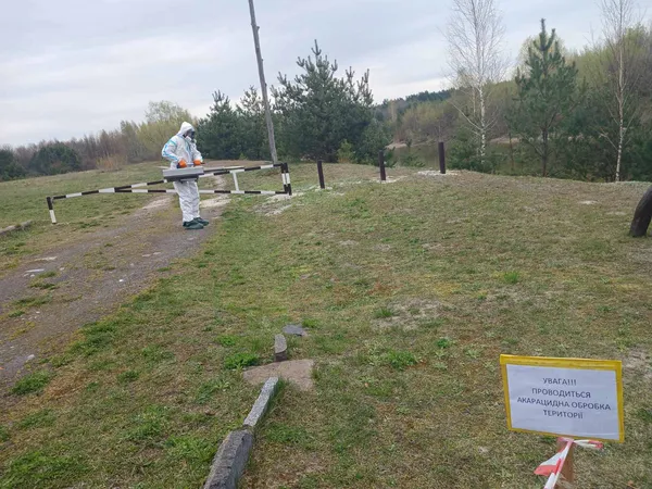 Активізувалися кліщі: на Волині вже десятки постраждалих, серед них – діти (фото)