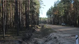 Показали, як на Волині будують лісові дороги (фото, відео)