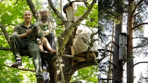 Воно вижило завдяки рослині: на Волині є величезне болото, де полюють хижі квіти та блукають рисі (фото)