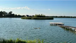 Прозора вода і багато риби: в селі на Ковельщині є озеро для відпочинку душею і тілом (фото)