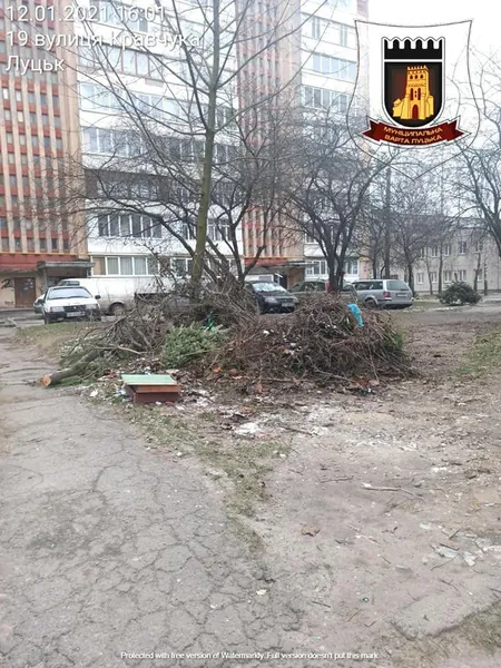 Лучанам нагадують: за гілля і будівельні відходи біля контейнерів – штраф (фото)