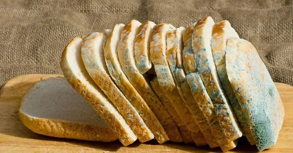 Яка їжа провокує рак: найнебезпечніші продукти
