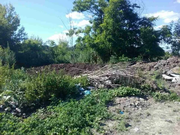 Сморід на Львівській: знайшли ще одну причину (фото) 