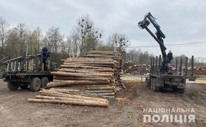 На Волині накрили деревообробне підприємство: відомо яке