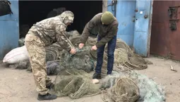Рубали сокирою та шматували ножем: на Волині знищили майже 19 кілометрів браконьєрських сіток (відео)