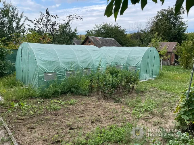 25 кілограмів канабісу та понад 300 конопель: поблизу Луцька викрили наркоторгівців