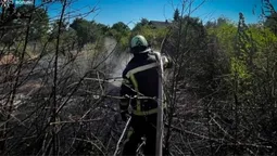 Палала суха трава і стерня: на Волині за добу ліквідували чотири пожежі (фото)