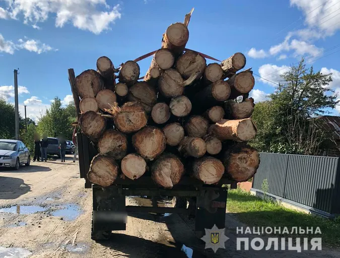 Трактор із сосною та ЗІЛ із дубом: на Волині знайшли деревину без документів (фото)