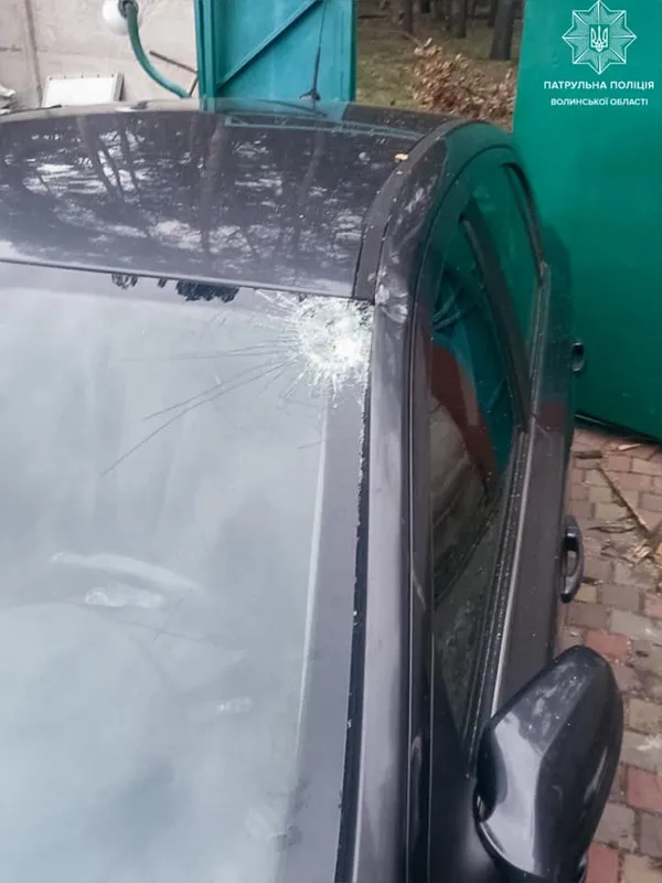 Повалені дерева й розчавлені автівки: у Луцьку негода накоїла лиха (фото)