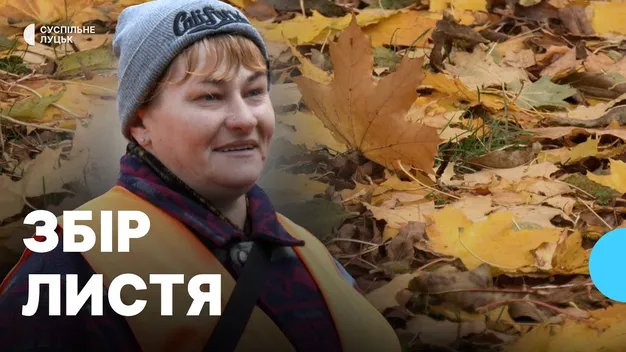 Куди дівають опале листя у Луцьку (відео)
