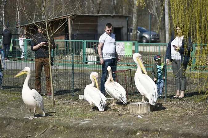 День птахів: Луцький зоопарк показав «винуватців» свята (фото)