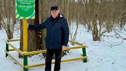 Нерозлучна пара: у Шацьких лісах сосна й дуб «обіймаються» вже два століття (фото)