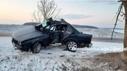 Автомобіль «переламало» навпіл: на Волині сталася смертельна автотроща (фото, відео, оновлено)