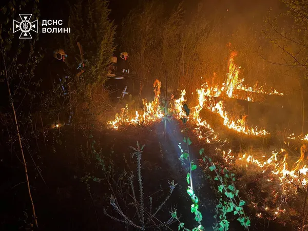 🔥Дим стояв до неба: за добу на Волині горіли поля, чагарники та торф’яники (фото)