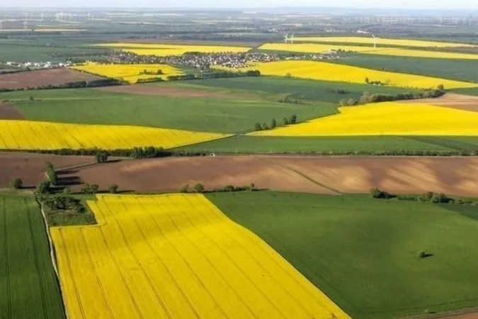 Невчасно платили: на Волині у фермерського господарства забрали 13 гектарів землі