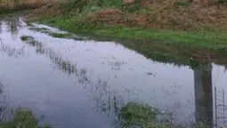 У Рожищі мешканці налякані, бо у них тече вежа (фото)