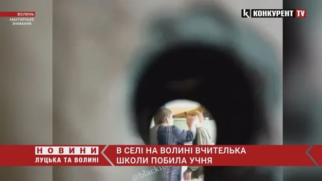 На Волині в сільській школі вчителька «вмазала» учневі (відео)