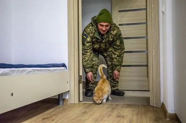 Головне у Луцьку: ТОП новин за середу, 16 серпня