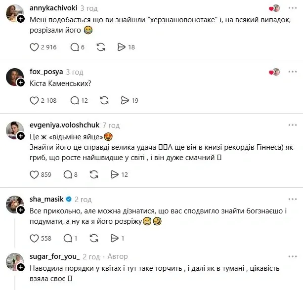 У клумбі виросло «відьмине яйце»: незвичайна знахідка здивувала українку