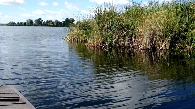 Село з жителями провалилося під землю і стало озером: де на Волині є легендарна водойма