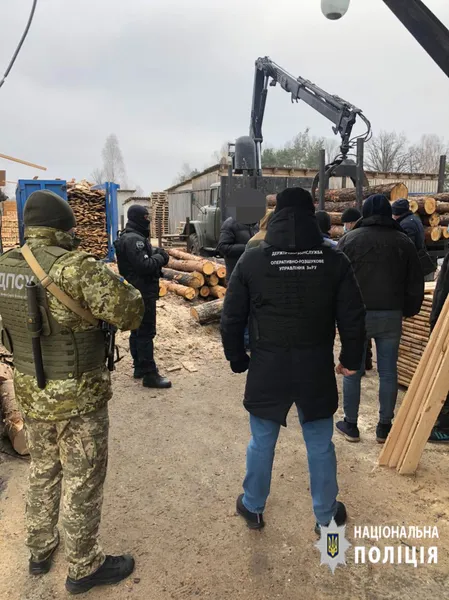 Деревина і бурштин: на волинських лісопильнях – масові обшуки (фото, відео)